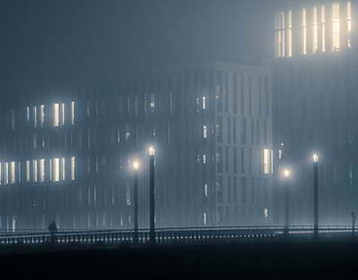 Azərbaycanda heyvanlarla rəhmsiz rəftar edənləri hansı cəza gözləyir? – Vəkil açıqladı