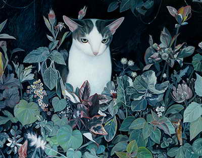 Нацбанк продлил разрешение на вывоз наличной иностранной валюты до 1 октября